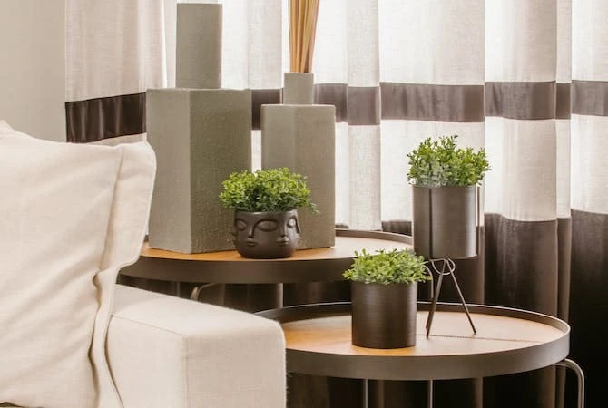 Plants on side table